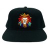 San Diego Zoo Colorful Lion Flat Brim Snapback Cap, Black