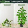 2 Pack 48 Inch Moss Pole, Bendable Moss Pole for