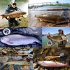 M MAXIMUMCATCH Maxcatch ECO Trout Fly Reel Large Arbor #1/2#3/4#5/6#7/8