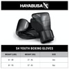 (240ml, Charcoal) - Hayabusa Boxing Gloves Kids S4 Youth Training