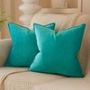 JUSPURBET Turquoise Decorative Velvet Throw Pillow Covers 24x24 inch Set