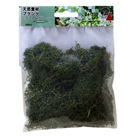 KATO 24-333 Diorama Products, Natural Plants, Medium Green