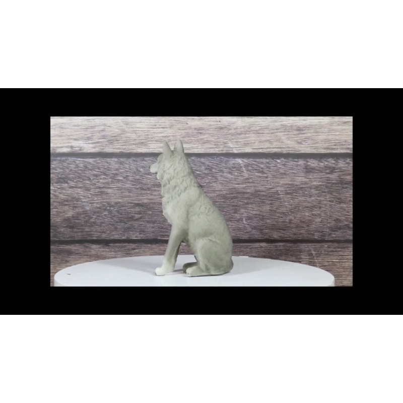 Cries Of The Night Sitting Alpha Grey Direwolf Wolf Home