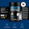 Creatine Monohydrate Powder 1 kg / 1000 g - Ultra