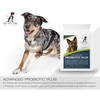 Advanced Probiotic Plus, 5 Powerful Strains of Bacteria in a