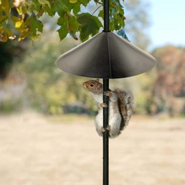 Woodlink NABAF18 Audubon Wrap Around Squirrel Baffle, 18-Inch - Black (#.0 1-18 Inch, Black)