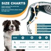 Dollephi Dog Knee Brace for Torn ACL Hind Leg, Hot/Cold