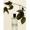 Inkwood Perfume (Lessoltz / 잉크우드 향수 (리솔츠X글월) 50ml