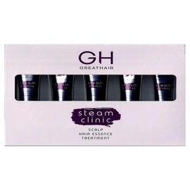 GH Great Hair Steam Clinic Scalp Hair Essence No-Wash Treatment 1 / GH 그레이트헤어 스팀 클리닉 스칼프 헤어에센스 노워시 트리트먼트 1
