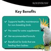 Roudybush Daily Maintenance Bird Food, Small, 10-Pound