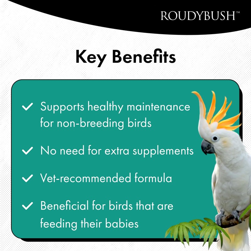 Roudybush Daily Maintenance Bird Food, Small, 10-Pound
