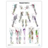 2 PACK Trigger Points I & II Poster Set, LAMINATED,