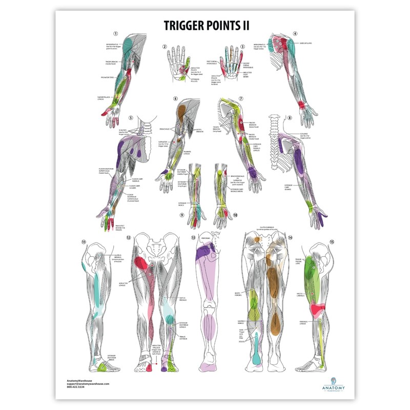 2 PACK Trigger Points I & II Poster Set, LAMINATED,