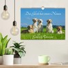 Das Glück hat einen Namen - Golden Retriever (Wandkalender 2025