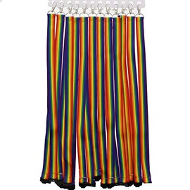 Zac's Alter Ego Pack of 12 Rainbow Lanyards with Safety Break Away Clip and Metal Hook Clip