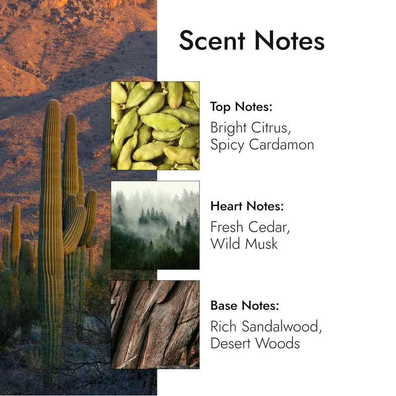 Modern Memory Western Santal Eau de Toilette for Men, 2.5