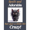 Black Cat Kitten funny flexible fridge magnet gift