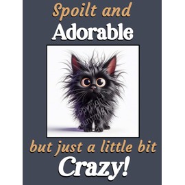 Black Cat Kitten funny flexible fridge magnet gift