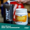 TNT Creatine Monohydrate (500 g) • Pure Creapure® • Vegan