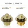 Bathtub Tub Drain Conversion Kit Assembly, Wellup Lift and Turn