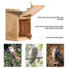 Screech Owl House With Bird Stand - Large Cedar Premium