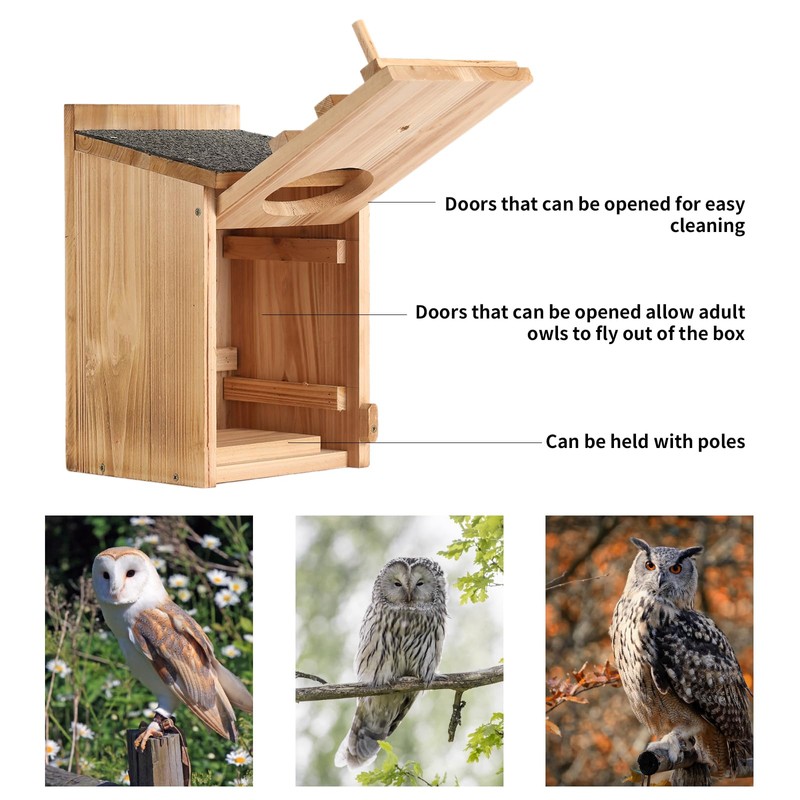 Screech Owl House With Bird Stand - Large Cedar Premium