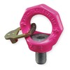Hoist Ring, 360 Pivot, 220 lb.Load Cap.