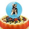 Acrylic I Know a Little German Shepherd Puppy Dog Cake