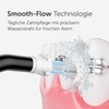Wondersmile Plaque Nozzle - Replacement Nozzles for Waterflow Oral Irrigator