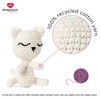 Red Heart Amigurumi Nugget The Kitten Kit