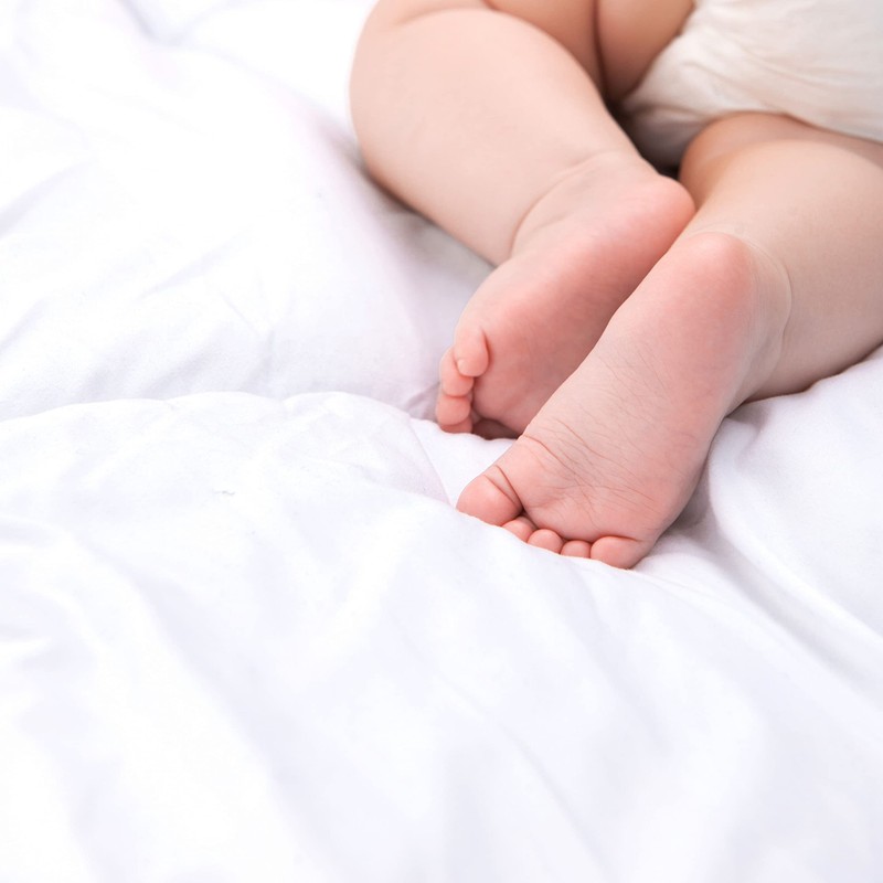Clair de Lune Cot Fitted Sheets | Value Pack |