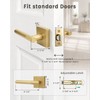 1 Pack Door Handle Golden Champagne Finish, Modern Knurled Design