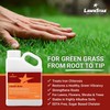 LawnStar Liquid Iron (1 Gallon) for Plants - Multi-Purpose, Suitable