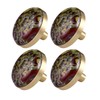 mookaitedecor Set of 4 Dragon Bloodstone Round Drawer Knob 32
