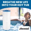 Jacuzzi J-200 Collection 50 Sq/Ft Filter