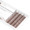 Bodermincer 231 Clusters D Curl Dark Brown/Black Individual Eyelash Extension