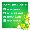 Gain + Aroma Boost Liquid Laundry Detergent, Original Scent, 128