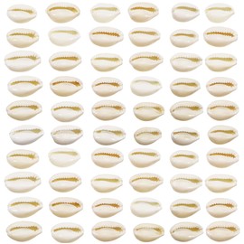 TOAOB Pack of 200 Natural Shell Beads with Hole for Crafts Beige Spiral Cauri Shells Craft Shells 15 to 19 mm for DIY Jewellery Making or Deco Crafts