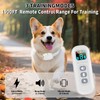 Shock Collar for Small Dogs, Electric Dog Training Collar with