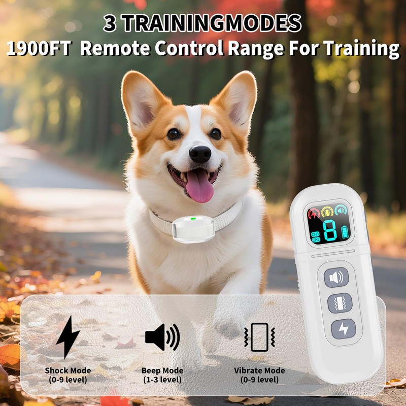 Shock Collar for Small Dogs, Electric Dog Training Collar with