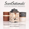 Scentsationals Wax Melts, Wax Cubes Strong Scent - Illusion -