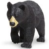 Black Bear