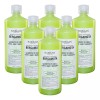 Florigan Shampoo Bergamota Crecimiento Del Cabello 1lt. 6 Pzas