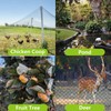 10x10ft Bird Netting for Chicken Coop Poultry Netting 1/2 inch