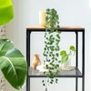 40.5Ft/12 Pack Aesthetic Artificial Greenery, Green Vines Decorations, Artificial Ivy