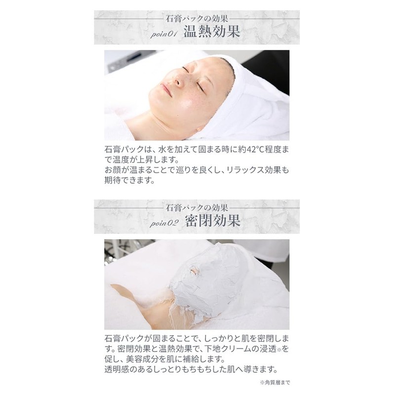 ＜プロズビ＞ 石膏パック コエンザイムQ10 1ｋｇ 石こう 顔パック エステ 業務用 はがす