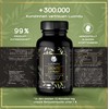 Luondu Green Tea Extract 90 Capsules High Dose - 2250mg