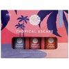 Woolzies Woolzies Tropical Escape Essential Oil Blends Set of 3 | 100% Pure, Natural & Undiluted Incl. Hawaii Paradise, Pina Colada & Ocean Breeze 10 ML