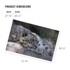 Lantern Press 1000 Piece Jigsaw Puzzle, Snow Leopard