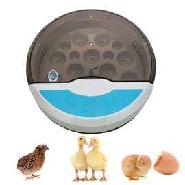Automatic Hatching Egg, Incubator, 9 Eggs for Birds, Built-in Eggs Detection Light, Hatcher, Eggs, Ducks, Quails, Children's Education, Automatic Temperature Control, Humidity Retention, Digital Display, For Home Use, Small Automatic Hatching Egg, Electr